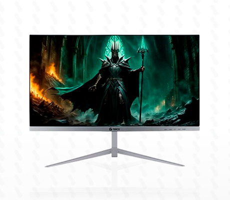 MONITOR TEROS TE-2127S, 21.5" FHD 1920 X 1080 100HZ IPS HDMI VGA