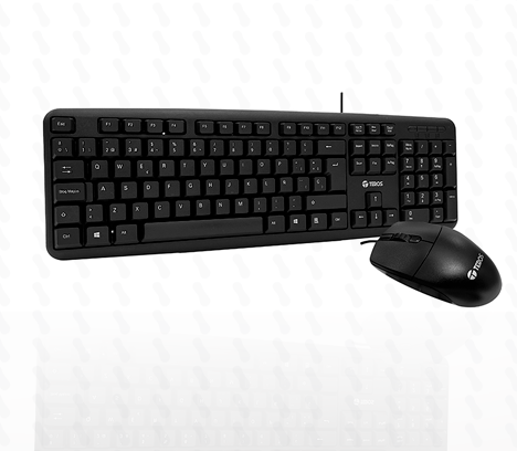 KIT TECLADO Y MOUSE TEROS TE-4062N - USB